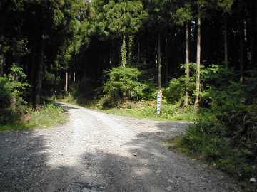 町道大野ヶ原線（父二峰林道）