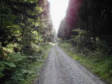 町道大野ヶ原線（父二峰林道）