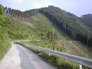 町道大野ヶ原線（父二峰林道）
