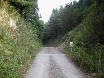 笹ヶ峠獅子越峠線