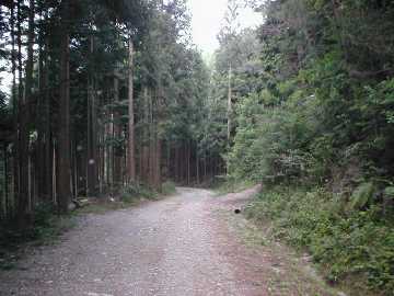 笹ヶ峠獅子越峠線