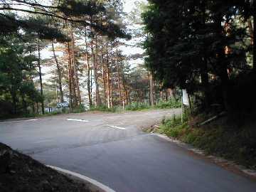 笹峠分城林道