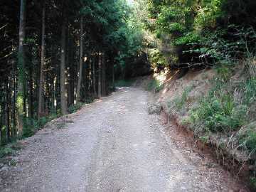 笹峠分城林道
