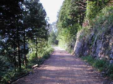 笹峠分城林道