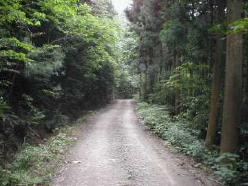 タイマツ峠支線林道