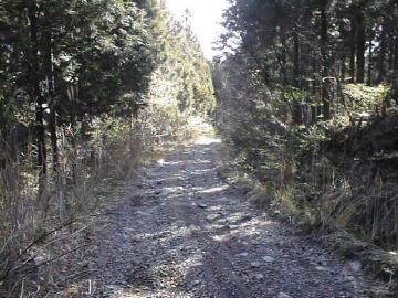 父野川林道
