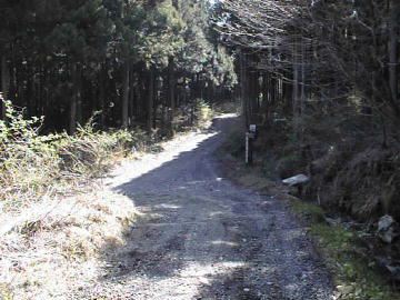 父野川林道