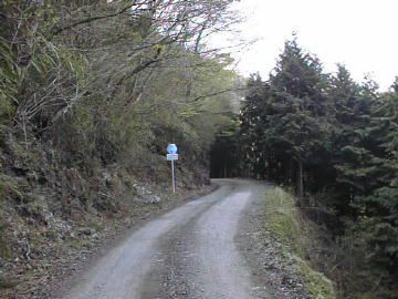 父野川林道
