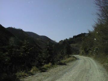 父野川林道