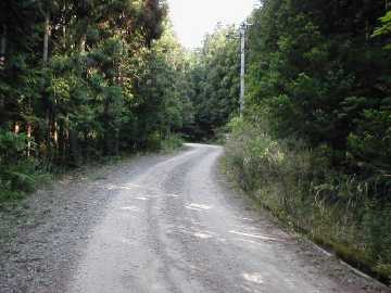 父野川林道