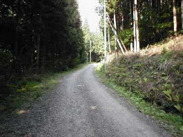 父野川林道