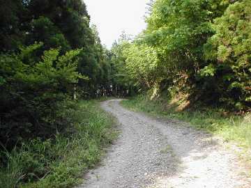 父野川林道