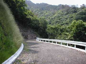 琴南財田林道
