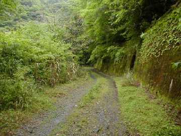 松の内林道