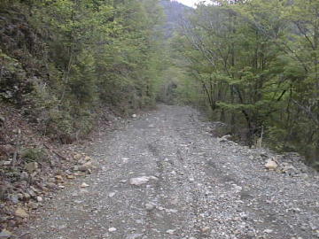 張川林道