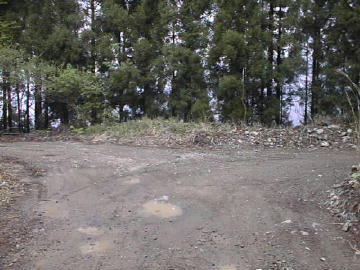 張川林道