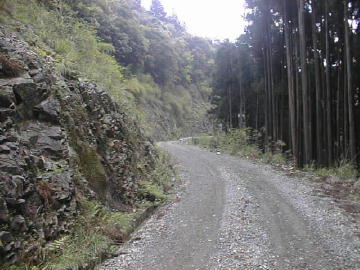張川林道