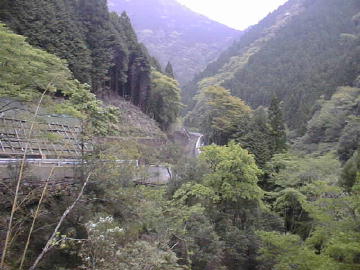張川林道