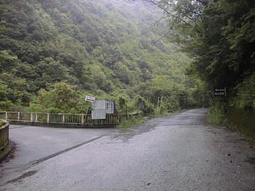 張川林道