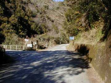 張川林道