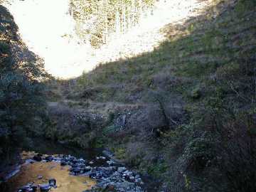 張川林道