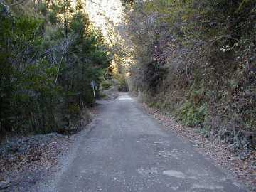 張川林道