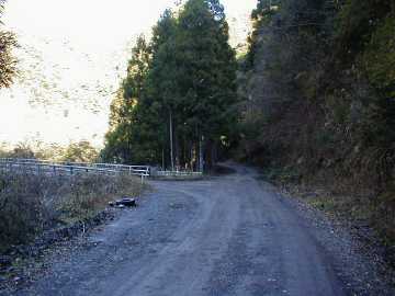 張川林道
