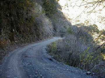 張川林道