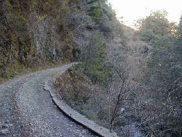 張川林道