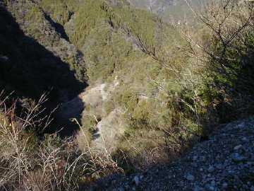 張川林道