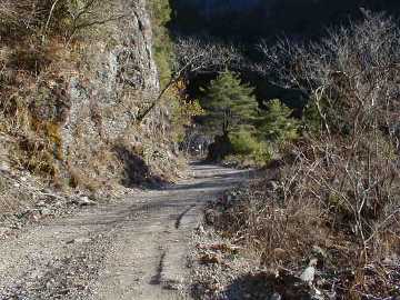 張川林道