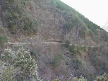 張川林道