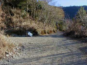張川林道