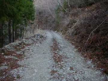 張川林道