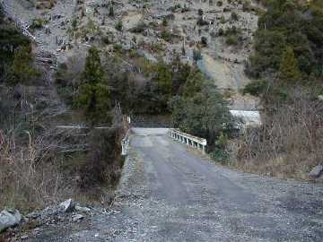 張川林道