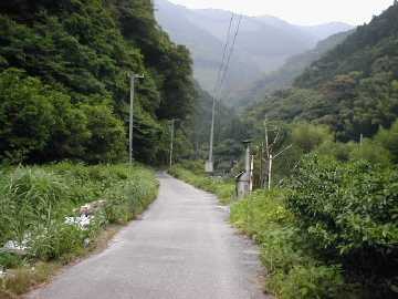 畑山奥西川林道
