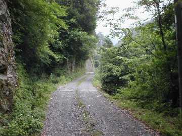 畑山奥西川林道