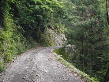 畑山奥西川林道
