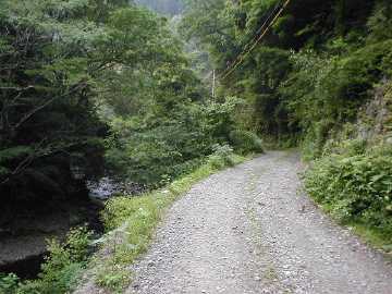 畑山奥西川林道