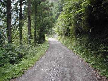 畑山奥西川林道