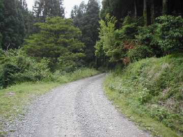 畑山奥西川林道