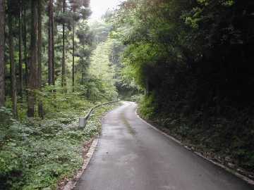 畑山奥西川林道