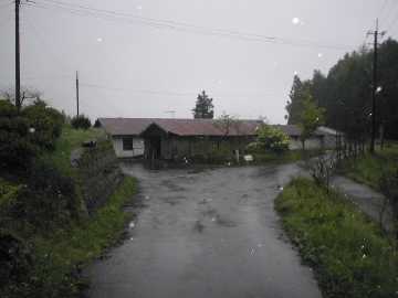 東川林道