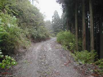 東川林道