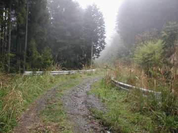 東川林道