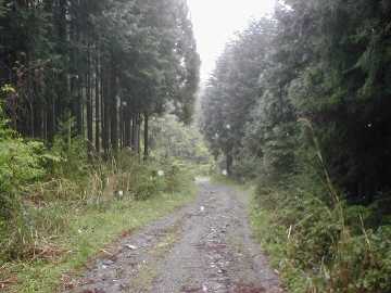 東川林道