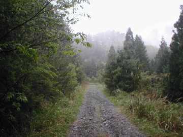 東川林道