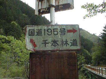 東川千本谷林道