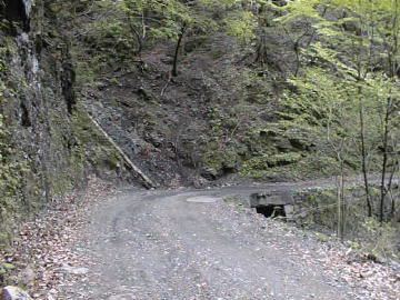 東川千本谷林道