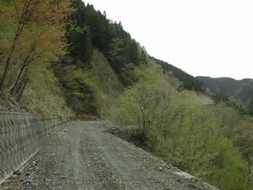 東川千本谷林道